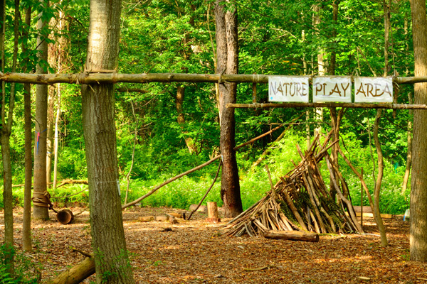 Nature Play: A Landscape Designer’s Approach image